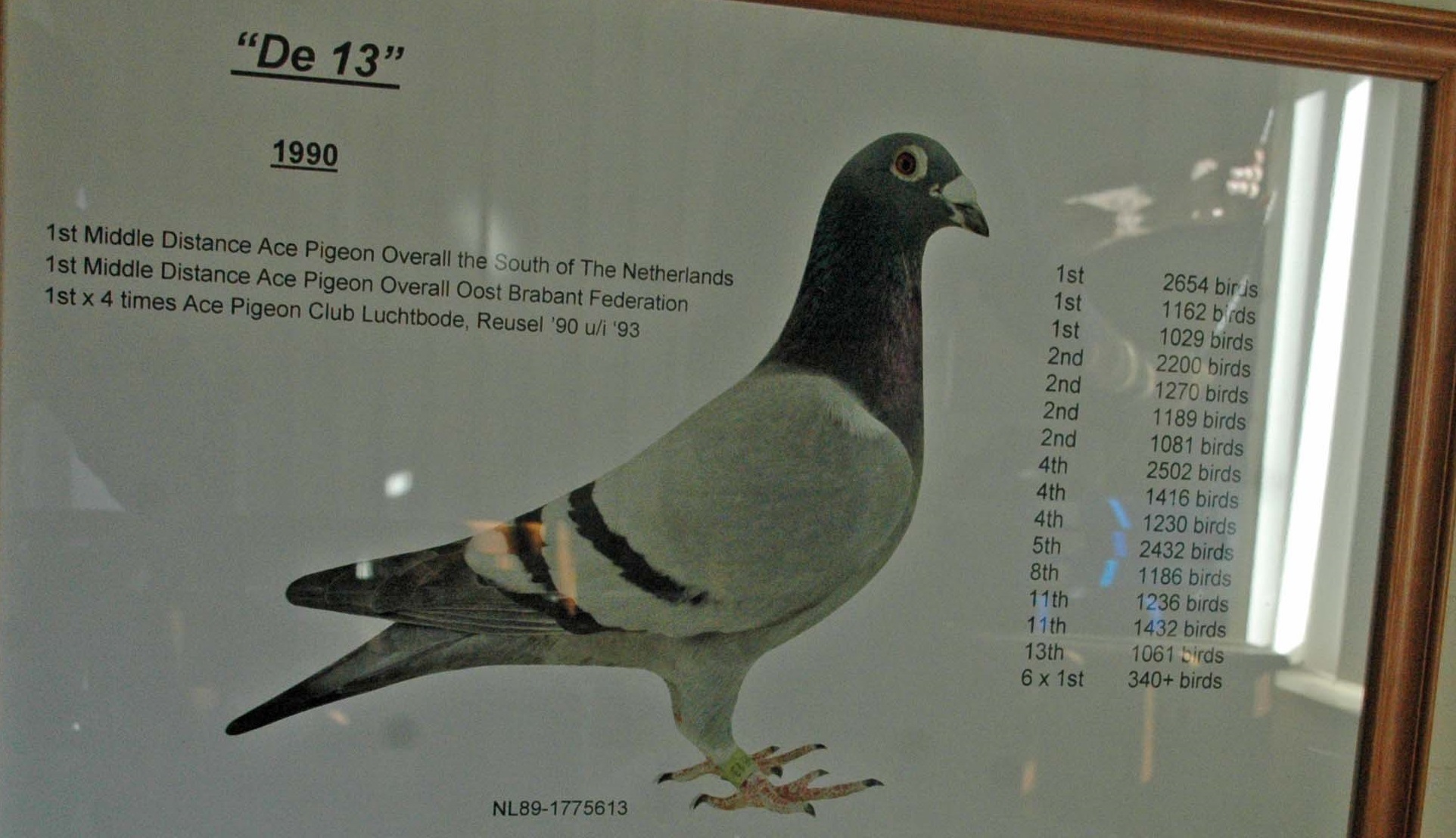 Predrag Konic Part 2