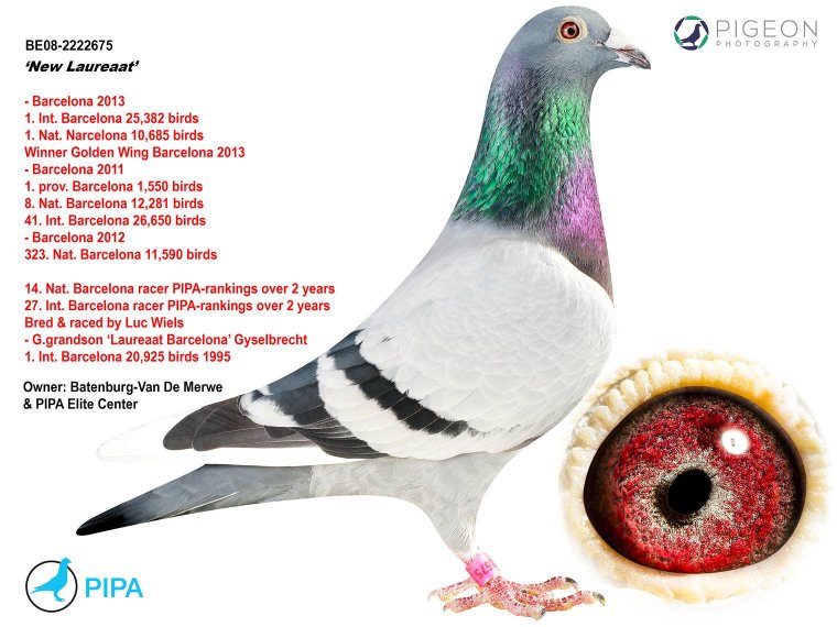 Predrag Konic Part 2