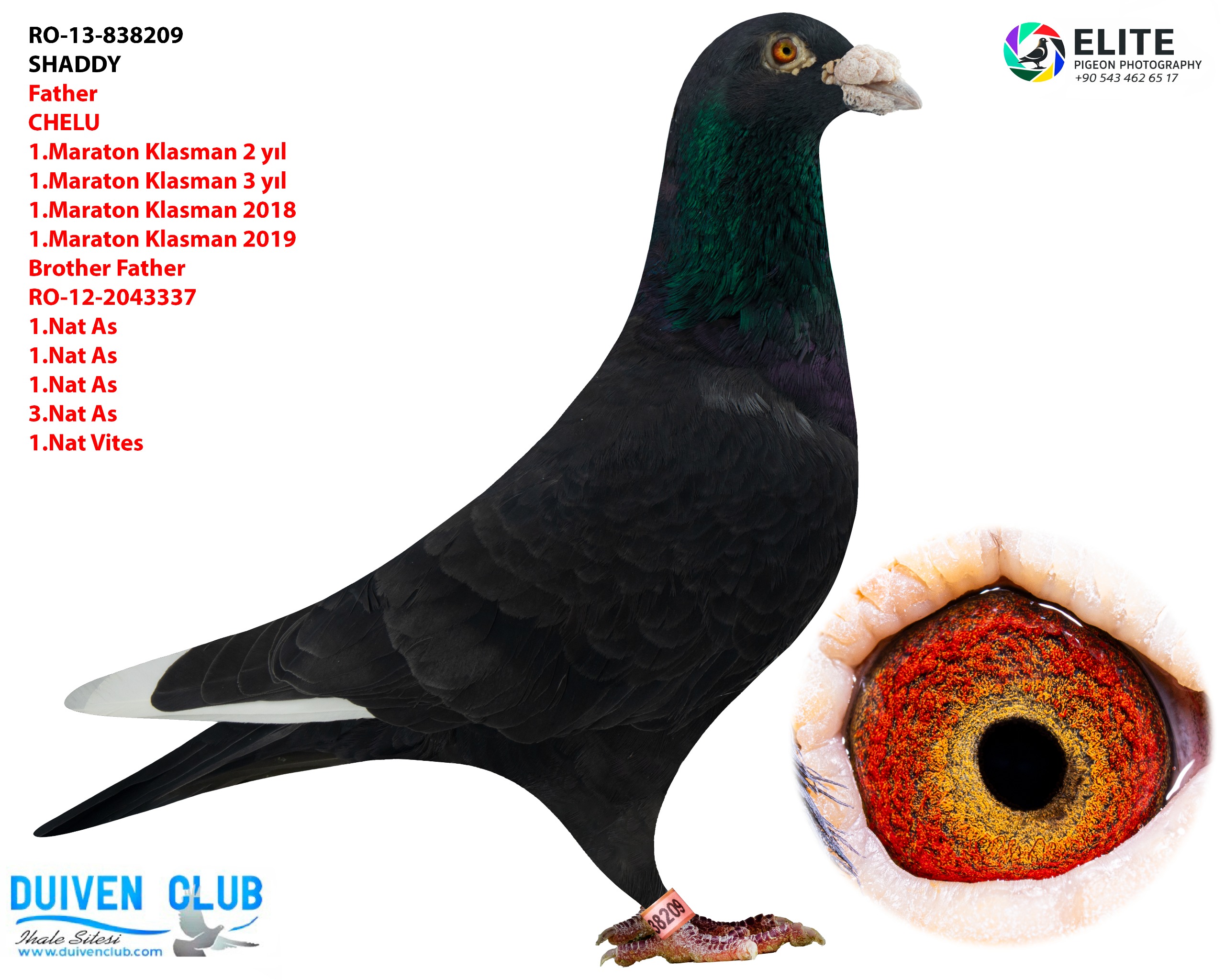 Predrag Konic Part 2