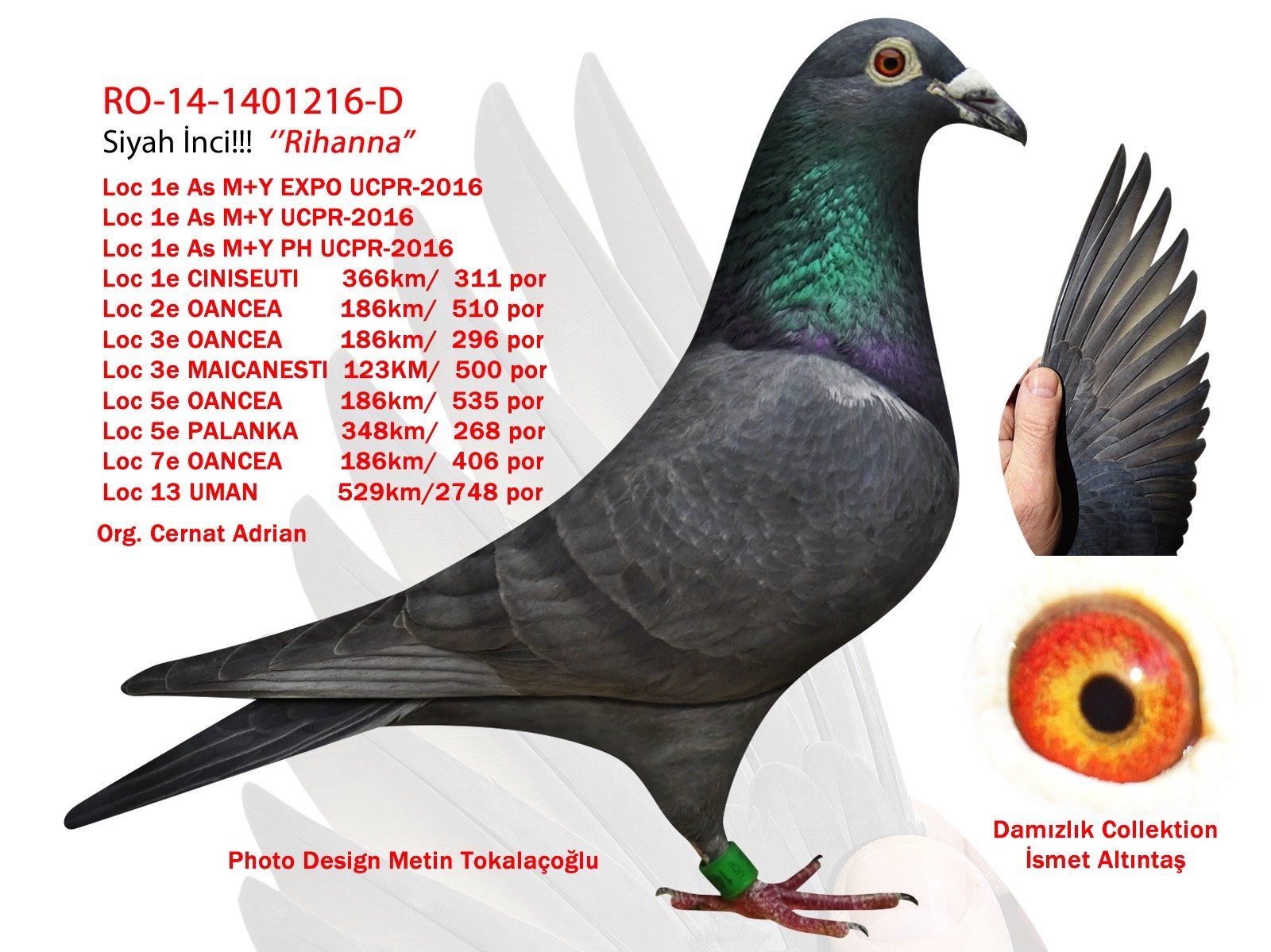 Predrag Konic Part 2