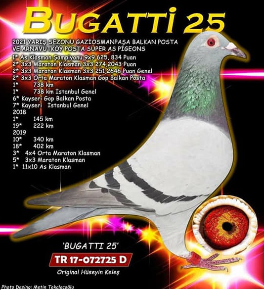 Predrag Konic Part 2