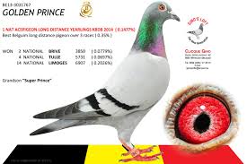 Predrag Konic Part 2