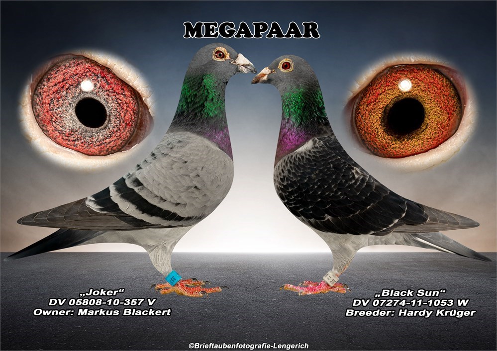 Predrag Konic Part 2