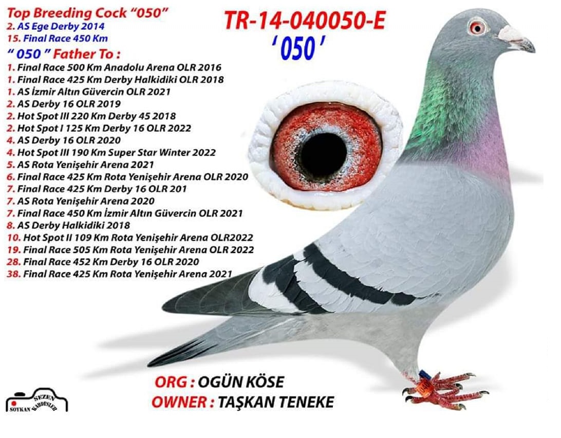 Predrag Konic Part 2