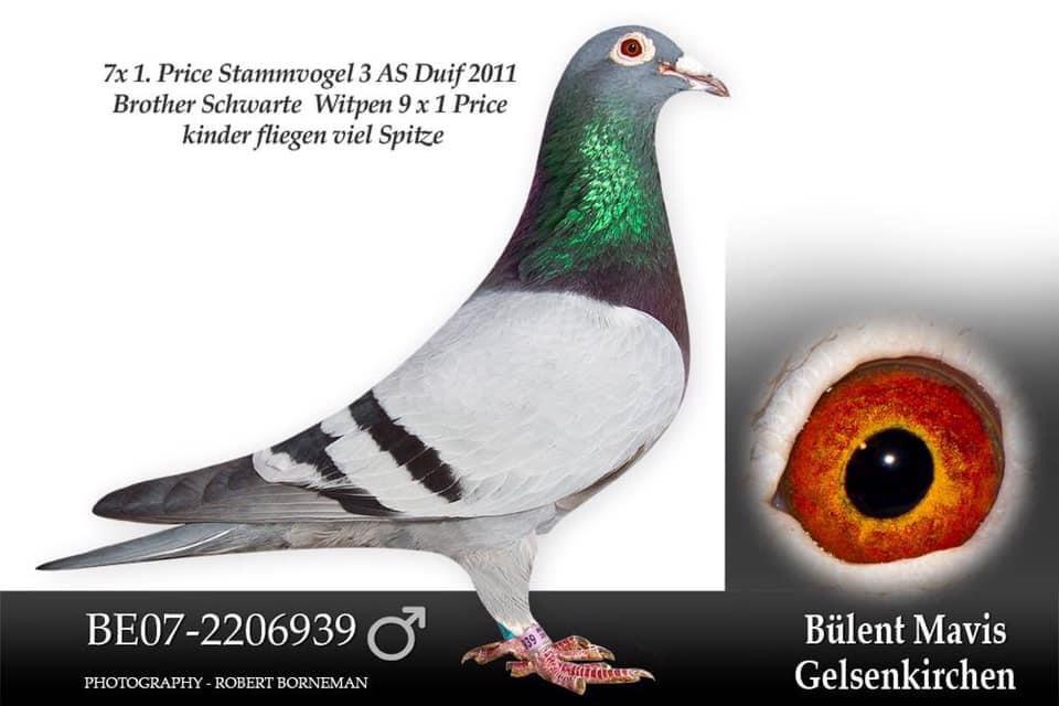 Predrag Konic Part 2