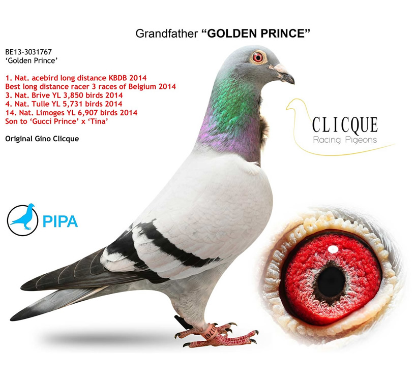 Predrag Konic Part 2