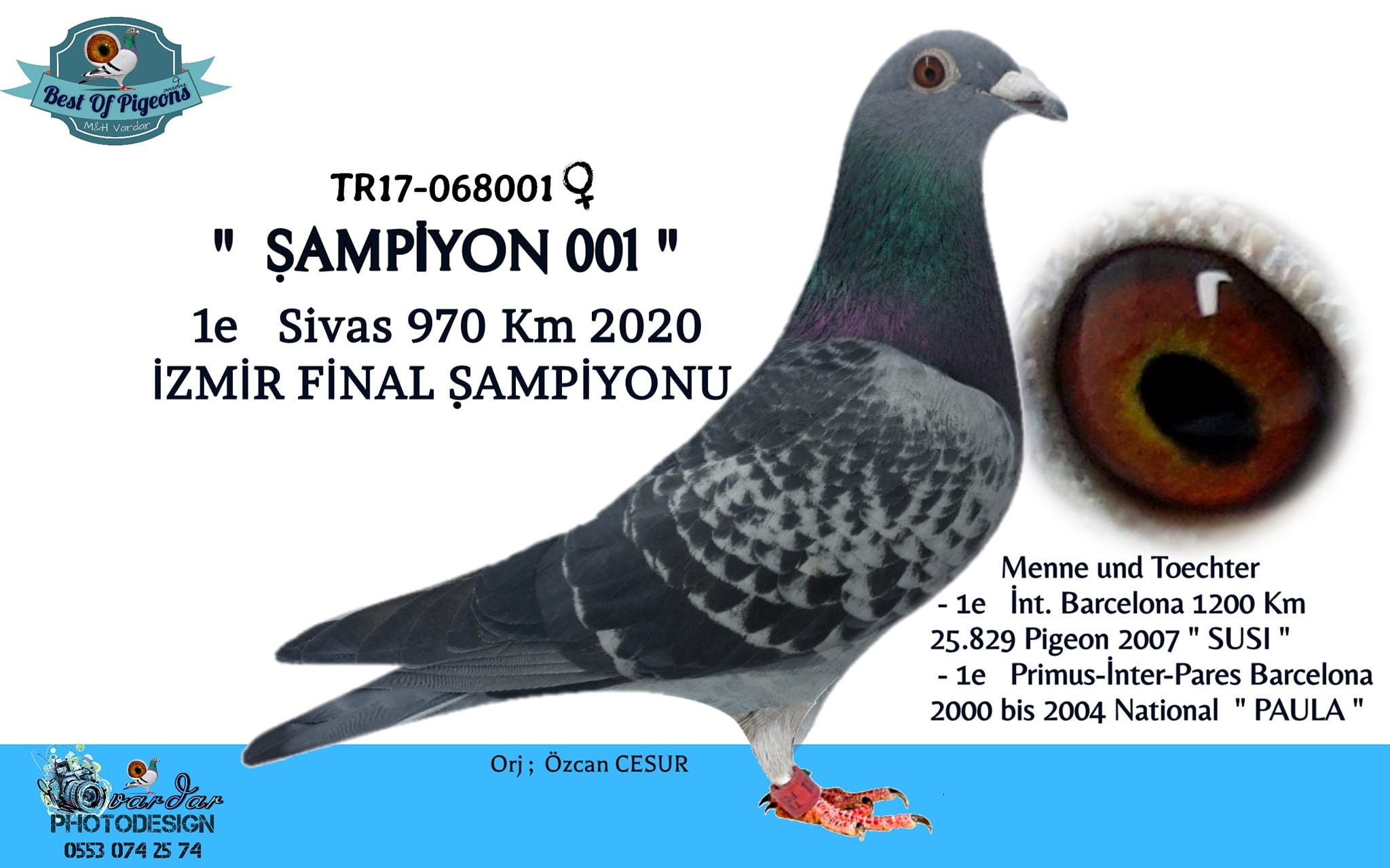 Predrag Konic Part 2