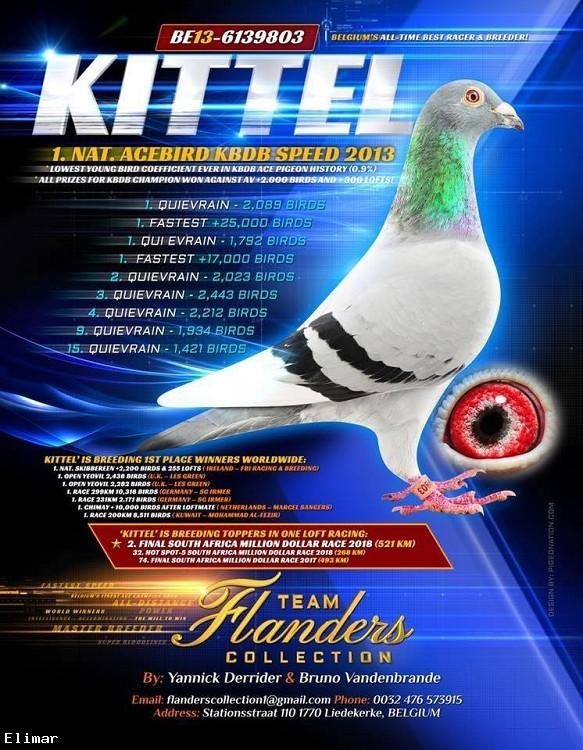 Predrag Konic Part 2