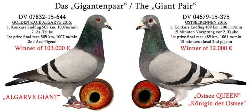 Predrag Konic Part 2