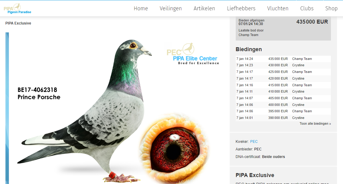 Predrag Konic Part 2