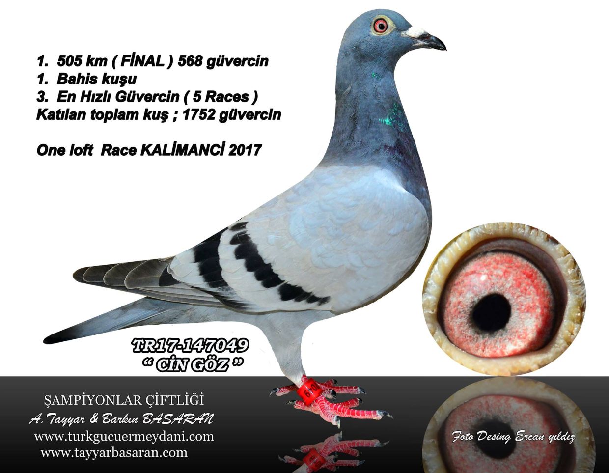 Predrag Konic Part 2