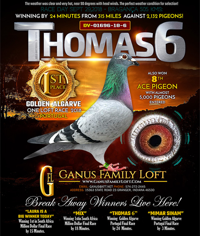 Predrag Konic Part 2